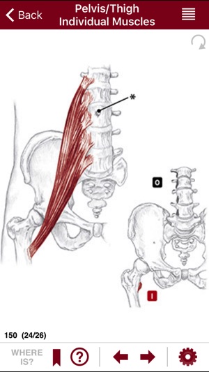 AnatomyMapp(圖2)-速報App