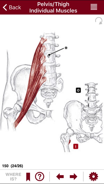 AnatomyMapp