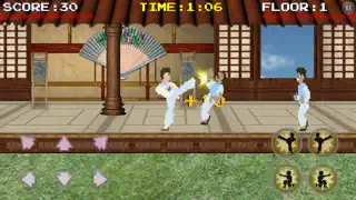 Karate Fighter - Screenshot 3