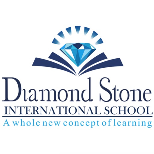 Diamond Stone International icon