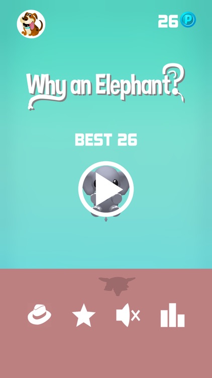 Why an Elephant?