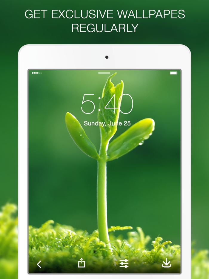 Green Wallpapers  Green Backgrounds