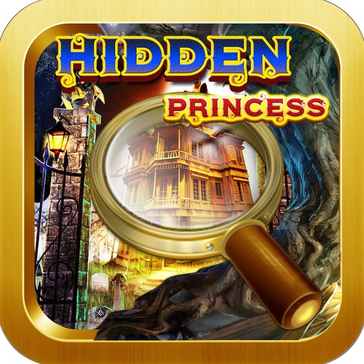 The Hidden Princess icon