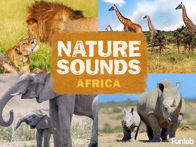 Nature Sounds Africa(圖1)-速報App