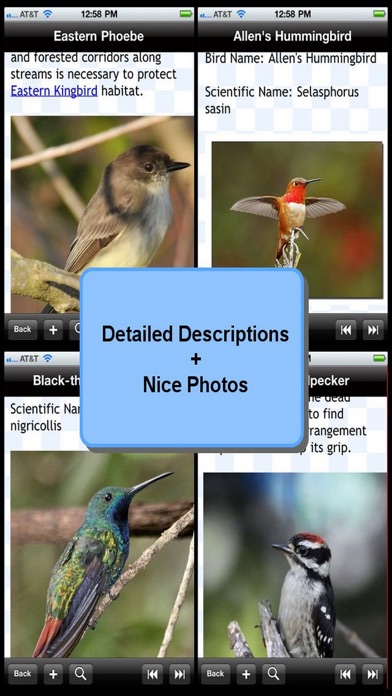 Birds Encyclopediaのおすすめ画像1