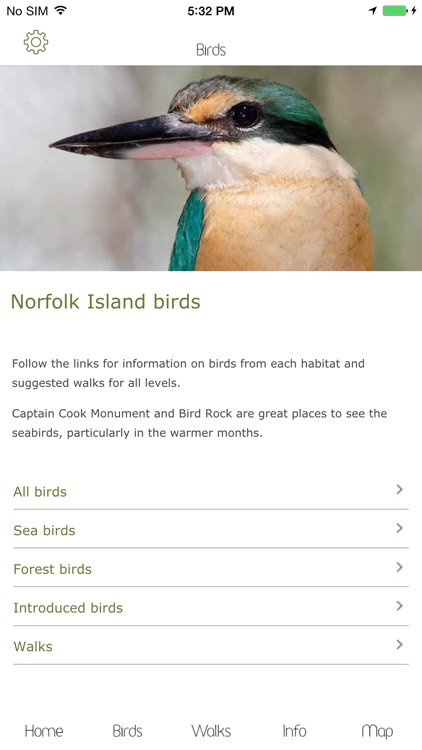 Norfolk Birds