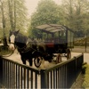 Killarney Horse&Carriage Tours