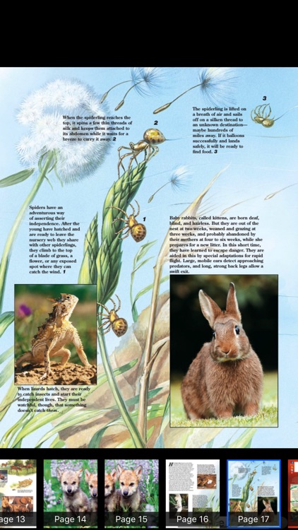 Zoobooks