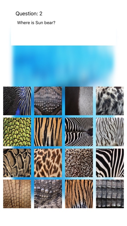 Animal Fur Touch screenshot-3