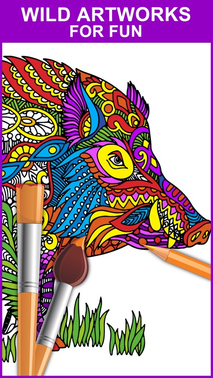 Color Mix - Adult Coloring Books