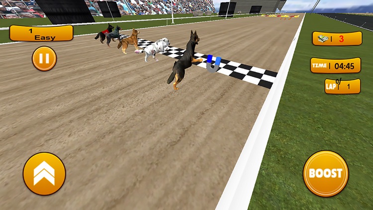 Wild Dog Racing Simulator