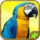 Top 49 Games Apps Like Animal Puzzle Games - Fun Jigsaw Puzzles - Best Alternatives