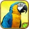 Meet funny animals from Animal Puzzle Games for Kids by playing jigsaw puzzle