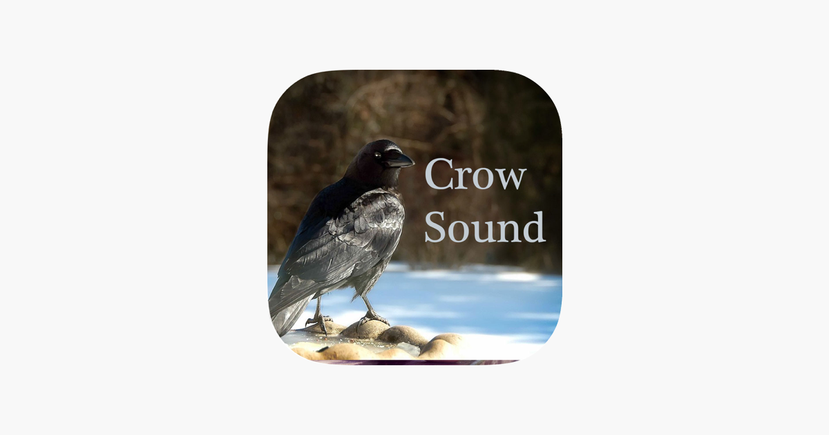 Crow Sounds – Crow Call Sound on the App Store