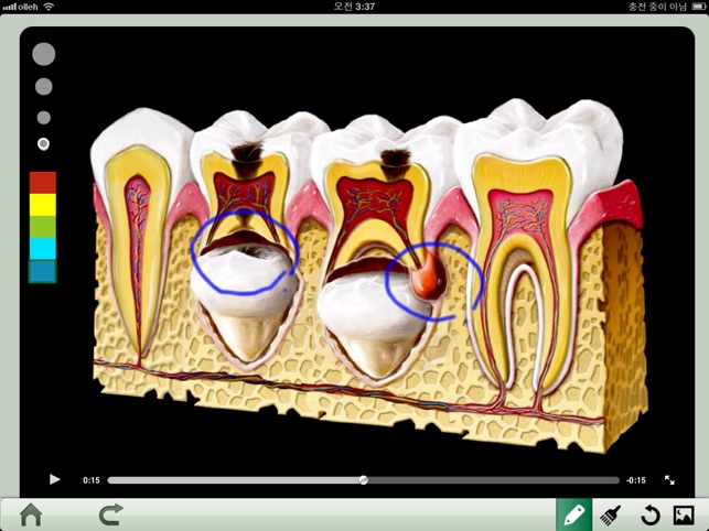 Dental iClinic(圖2)-速報App