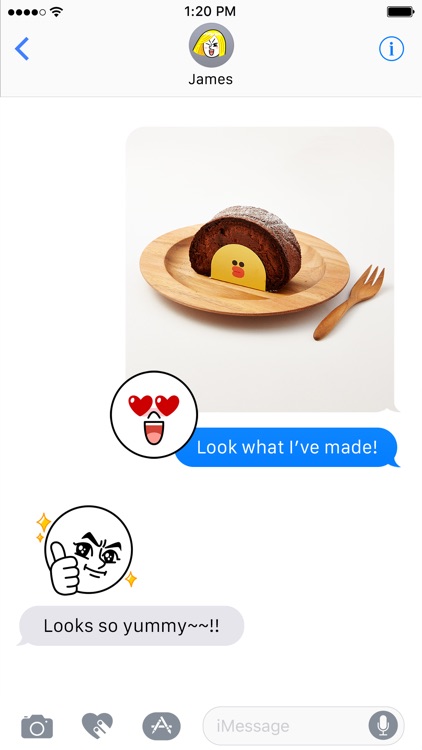 Witty-MOON Emoji - LINE FRIENDS