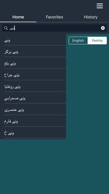 Pashto Dictionary - Offline