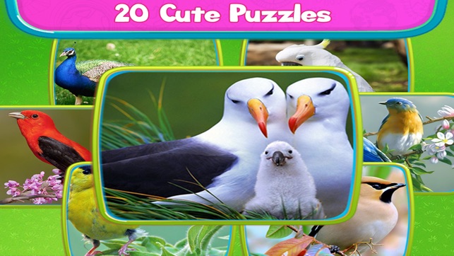 Love Bird Jigsaw Puzzle paradise : Train The Brain(圖4)-速報App