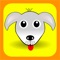 Best Pet Care Services App at your fingertips