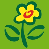 FloraPrima Blumenversand app funktioniert nicht? Probleme und Störung