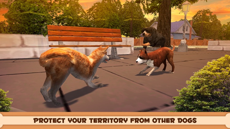 Shiba Inu Japanese Dog Simulator 3D