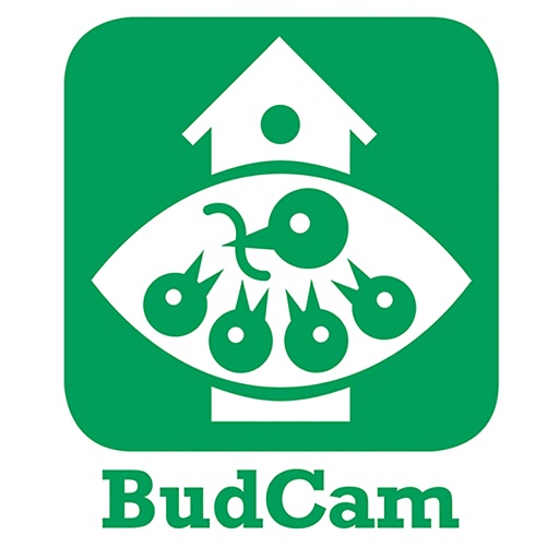 BudCam mobile