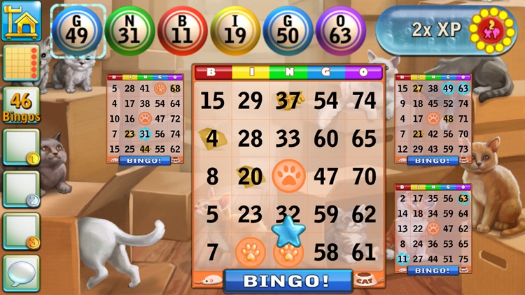 Bingo Cats screenshot-3