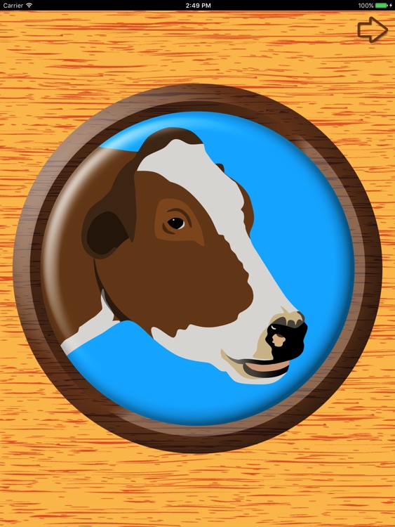 Big Button Box Animals HD - sound effects & sounds