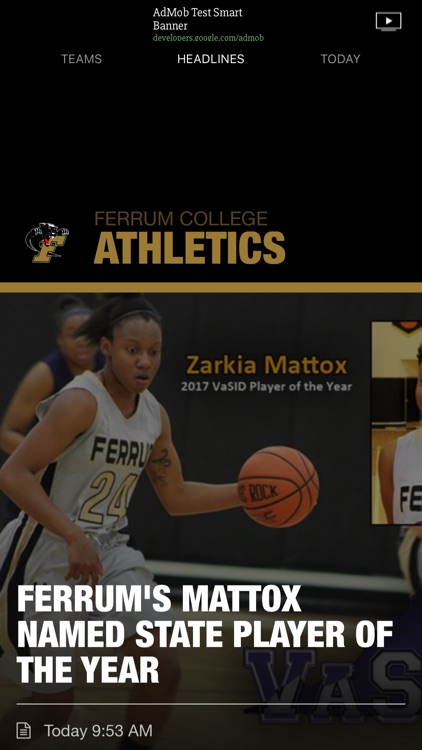 Ferrum College Panthers