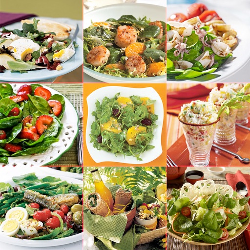 Salad Recipes..