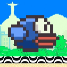 Activities of Flip Flappy Rio - Welcome to Brazil