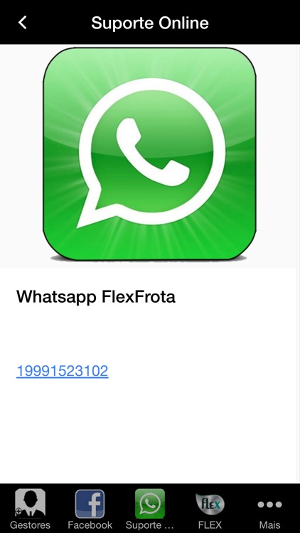 FlexFrota screenshot-3