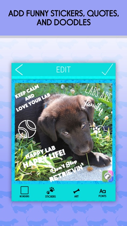 Pet Collage Maker and Edit.or