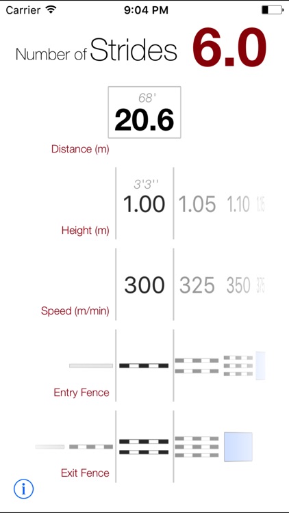 Show Jumping Strides