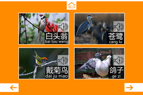 动物叫声-鸟类篇：动物园世界的叫声游戏 screenshot 2