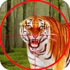 Special Hero Wild Animals Hunt