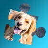 Dogpaw Jigsaw Puzzles - Cute Dogs and Puppies Game