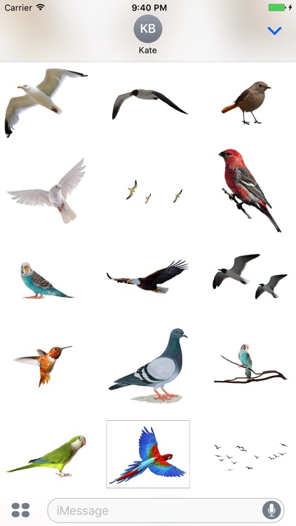 Flock of Birds Stickers