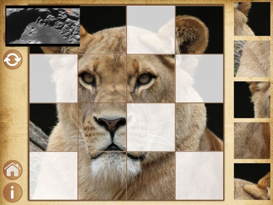 Animal puzzle - educational games for girls & boys screenshot 2