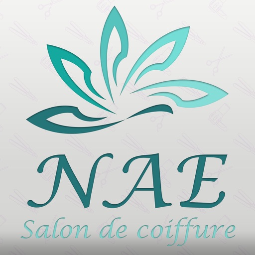 NAE Paris icon
