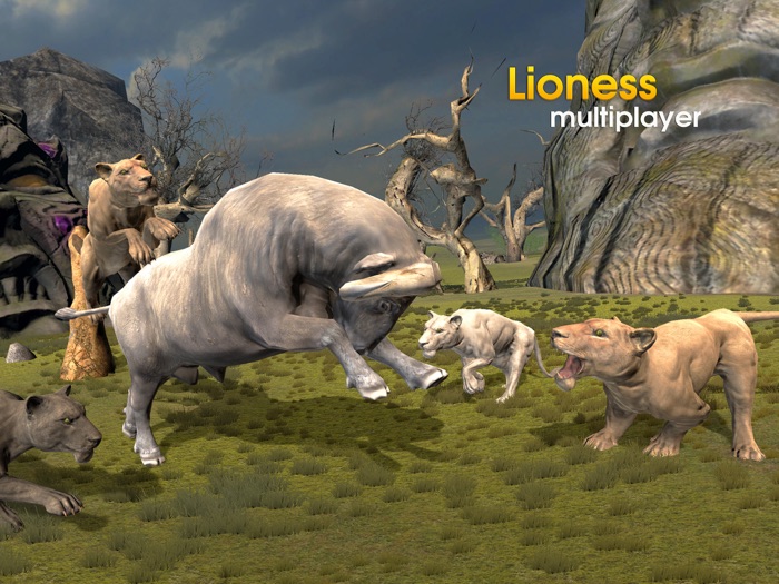 Lioness Multiplayer
