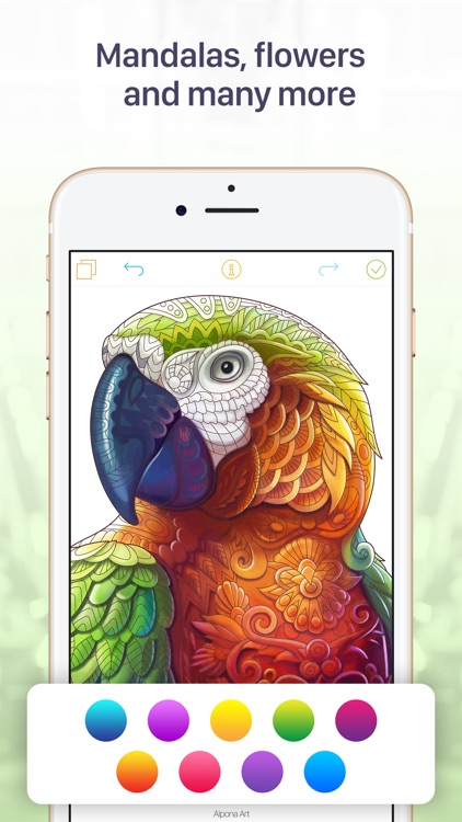 Coloring Book For Adults- Stress Free Coloring App
