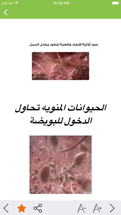 Pregnancy - الحمل والولادة