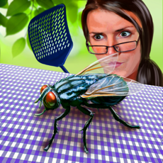 Activities of Fly Insect Wild Life Simulator