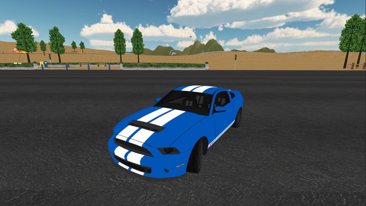 Flying Car Driving Simulator 3D screenshot-3
