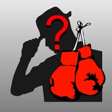 Activities of Boxing Game Quiz Maestro