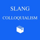 American Slang and Colloquialism Dictionary