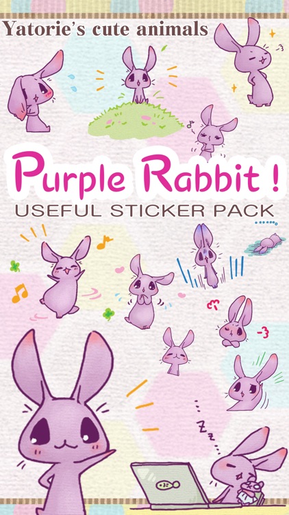 Purple Rabbit !