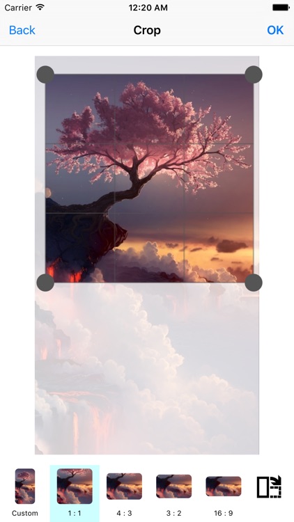 Picture Perfect - Photo Editor screenshot-4