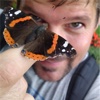 Schmetterlingspoesie-Fanseite